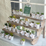 Load image into Gallery viewer, Tin Pails with Succulent
