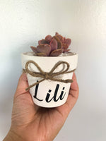 Load image into Gallery viewer, Customized Vinyl Label
