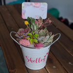 Load image into Gallery viewer, Tin Pail Succulent Arrangement
