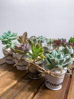 Load image into Gallery viewer, Tin Pails with Succulent
