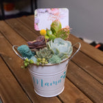 Load image into Gallery viewer, Tin Pail Succulent Arrangement

