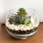 Load image into Gallery viewer, succulent glass terrarium
