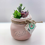 Load image into Gallery viewer, rustic glass jar with succulents
