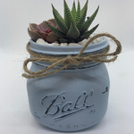 Load image into Gallery viewer, rustic glass jar with succulents
