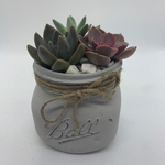Load image into Gallery viewer, rustic glass jar with succulents
