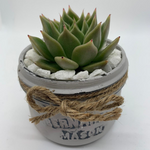 Load image into Gallery viewer, rustic jar with succulents
