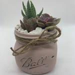 Load image into Gallery viewer, rustic glass jar with succulents
