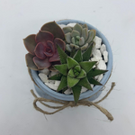 Load image into Gallery viewer, rustic glass jar with succulents
