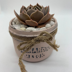 Load image into Gallery viewer, rustic jar with succulents
