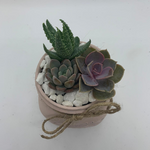 Load image into Gallery viewer, rustic glass jar with succulents
