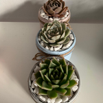 Load image into Gallery viewer, rustic jar with succulents

