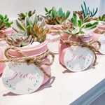 Load image into Gallery viewer, rustic glass jar with succulents
