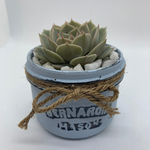 Load image into Gallery viewer, rustic jar with succulents
