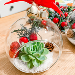 Load image into Gallery viewer, succulent glass ornament
