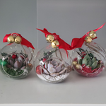 Load image into Gallery viewer, succulent glass ornament
