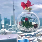 Load image into Gallery viewer, succulent glass ornament
