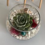 Load image into Gallery viewer, succulent glass terrarium
