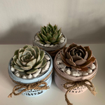 Load image into Gallery viewer, rustic jar with succulents
