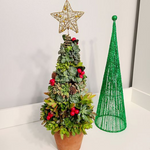 Load image into Gallery viewer, succulent tree
