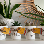 Load image into Gallery viewer, teacher gifts
