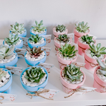 Load image into Gallery viewer, succulent clay pot favours
