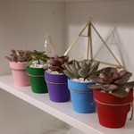 Load image into Gallery viewer, succulent wedding favours
