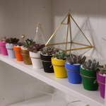 Load image into Gallery viewer, succulent wedding favours

