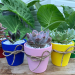 Load image into Gallery viewer, succulent wedding favours
