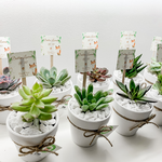 Load image into Gallery viewer, succulent wedding favours
