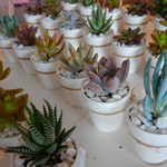Load image into Gallery viewer, succulent clay pot favours
