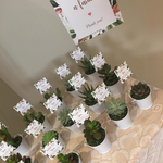 Load image into Gallery viewer, Tin Pails with Succulent
