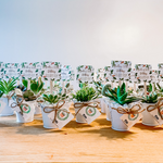 Load image into Gallery viewer, Tin Pails with Succulent
