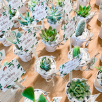 Load image into Gallery viewer, Tin Pails with Succulent
