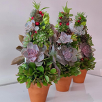 Load image into Gallery viewer, succulent tree
