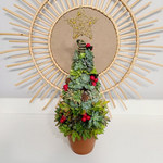 Load image into Gallery viewer, succulent tree
