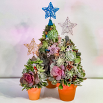 Load image into Gallery viewer, succulent tree
