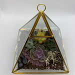 Load image into Gallery viewer, geometric succulent terrarium
