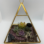 Load image into Gallery viewer, geometric succulent terrarium
